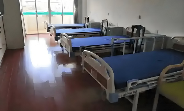 回望桃花尽